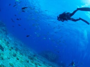 okinawa_img05